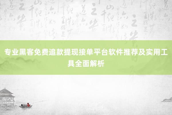 专业黑客免费追款提现接单平台软件推荐及实用工具全面解析