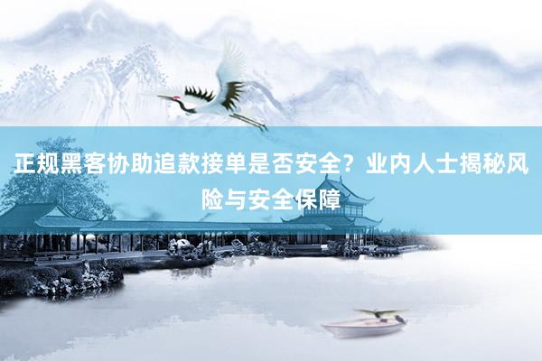 正规黑客协助追款接单是否安全？业内人士揭秘风险与安全保障