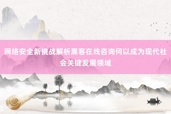 网络安全新挑战解析黑客在线咨询何以成为现代社会关键发展领域