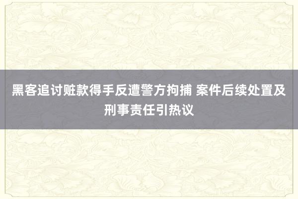 黑客追讨赃款得手反遭警方拘捕 案件后续处置及刑事责任引热议